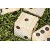 imageTriumph Sports 3573352 Giant Wooden Lawn Dice Set Brown One Size