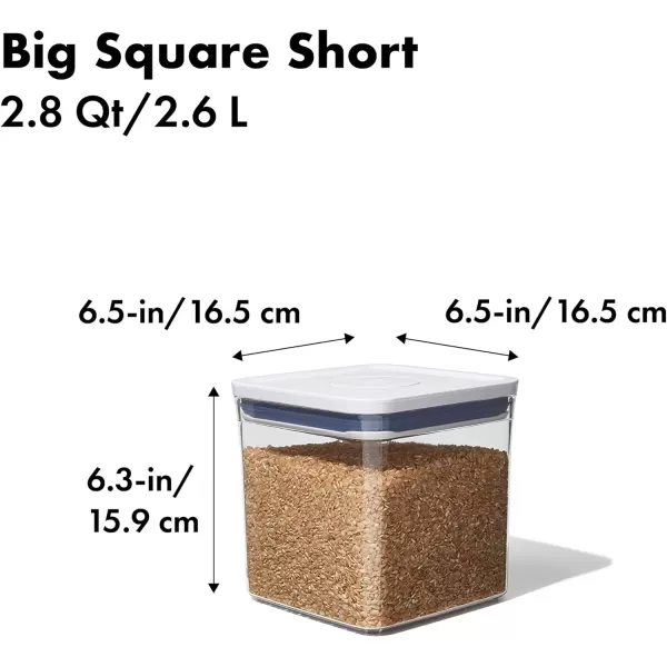 OXO Good Grips POP Container - Airtight Food Storage - Big Square Medium 4.4 Qt Ideal for 5lbs of flour or sugar