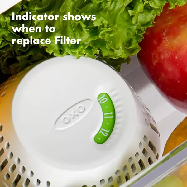 OXO Greensaver Crisper Insert 1-Pack