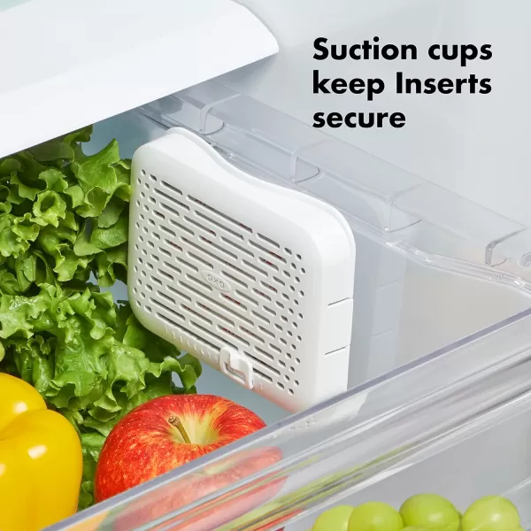 OXO Greensaver Crisper Insert 1-Pack