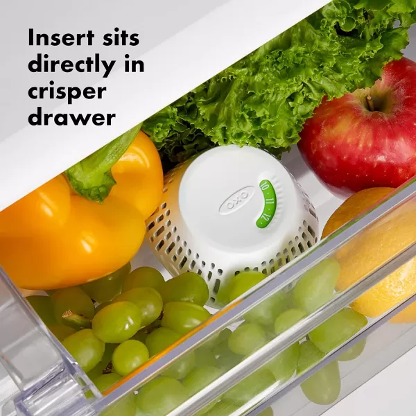 OXO Greensaver Crisper Insert 1-Pack