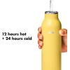 imageOXO Strive 20oz Insulated Water Bottle with Standard Lid  GarnetCitrine