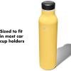 imageOXO Strive 20oz Insulated Water Bottle with Standard Lid  GarnetCitrine