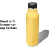 imageOXO Strive 20oz Insulated Water Bottle with Standard Lid  GarnetCitrine