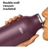imageOXO Strive 20oz Insulated Water Bottle with Standard Lid  GarnetPurple Garnet