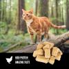 imageORIJEN Freeze Dried Cat Treats Original and OXO Good Grips Pet POP Container  11 Qt