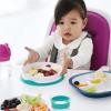 imageOXO Tot Stick and Stay Suction Plate  DuskTeal