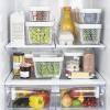 imageOXO Good Grips GreenSaver Standing Crisper Drawer Insert 2 PackSuction Cup Crisper Drawer Insert
