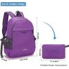 imageYZAOLL Small Lightweight Packable Hiking Backpack 20L Hiking Backpack Day Pack for Women Men Travel Camping VacationBlackA20lpurple